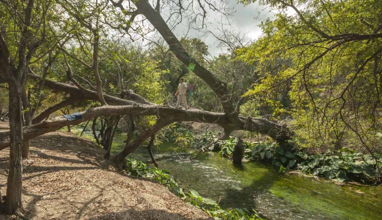 Reserva de la Biosfera El Cielo