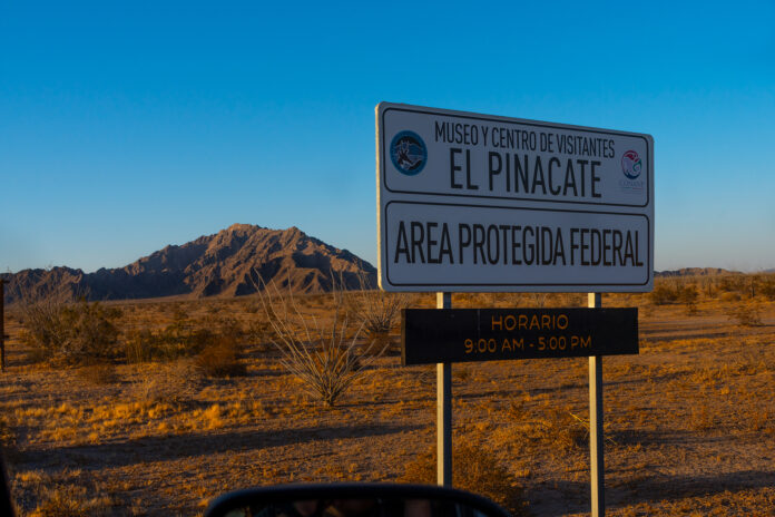 Reserva de la Biosfera el Pinacate