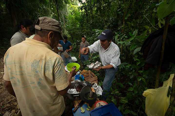 Guía para tu Primera Acampada: Equipo Y Consejos