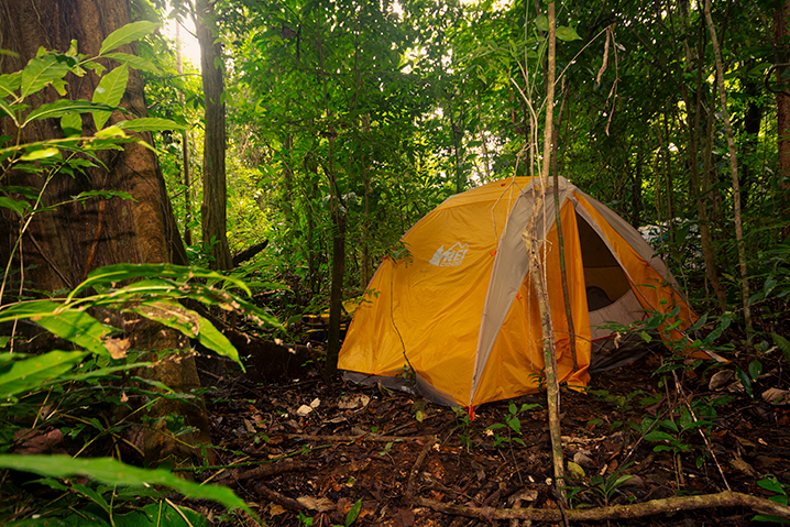 Guía para tu Primera Acampada: Equipo Y Consejos